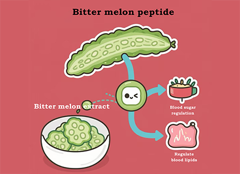 How Bitter Melon Peptide Helps Regulate Blood Sugar?